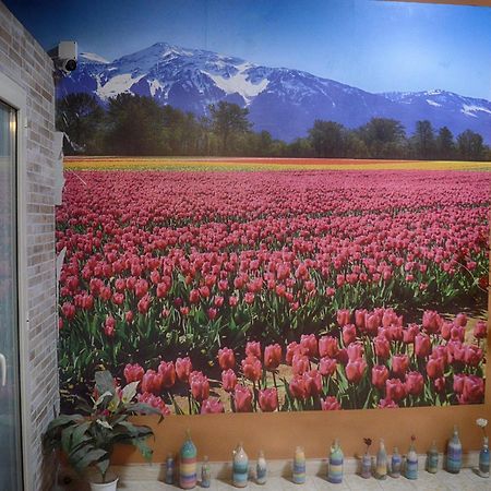 B&B Terrazza Dell'Etna Mascalucia Dış mekan fotoğraf